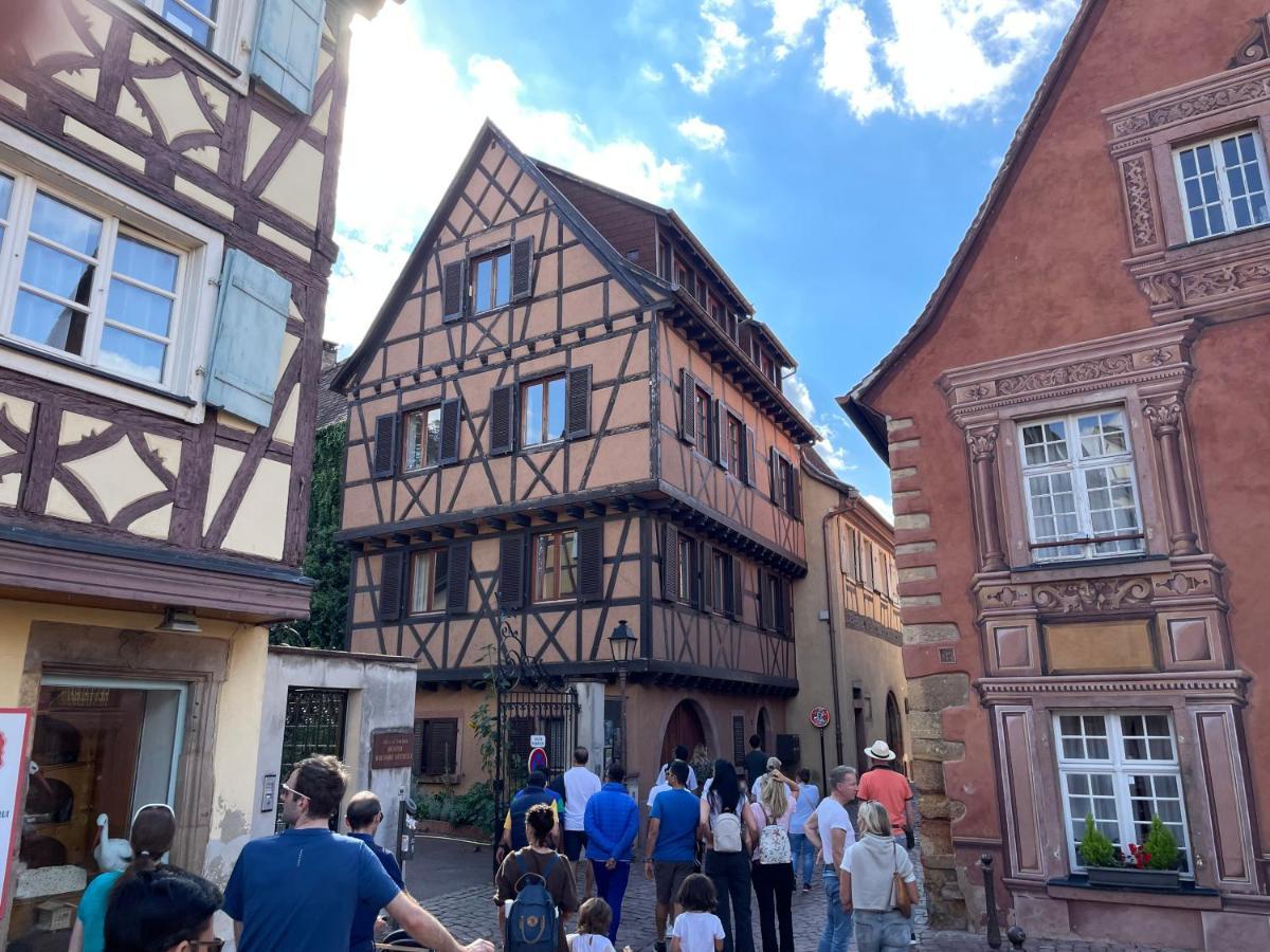 Rive Petite Venise Appartement Luxe - Centre Ville Colmar - Clim, Ascenseur & Possibilite Parking Eksteriør billede